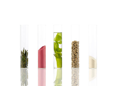 The Powerhouse Ingredients for Energy, Metabolism & Gut Health