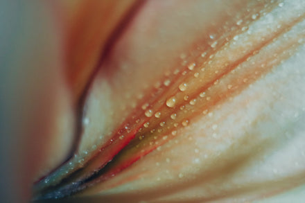 The Importance of Balanced Vaginal pH