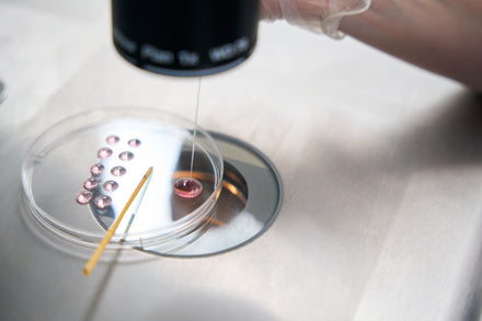 Things to Know Before Starting Your IVF Journey