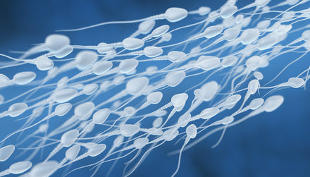 5 Ways to Improve Your Sperm Health: Common Myths Debunked